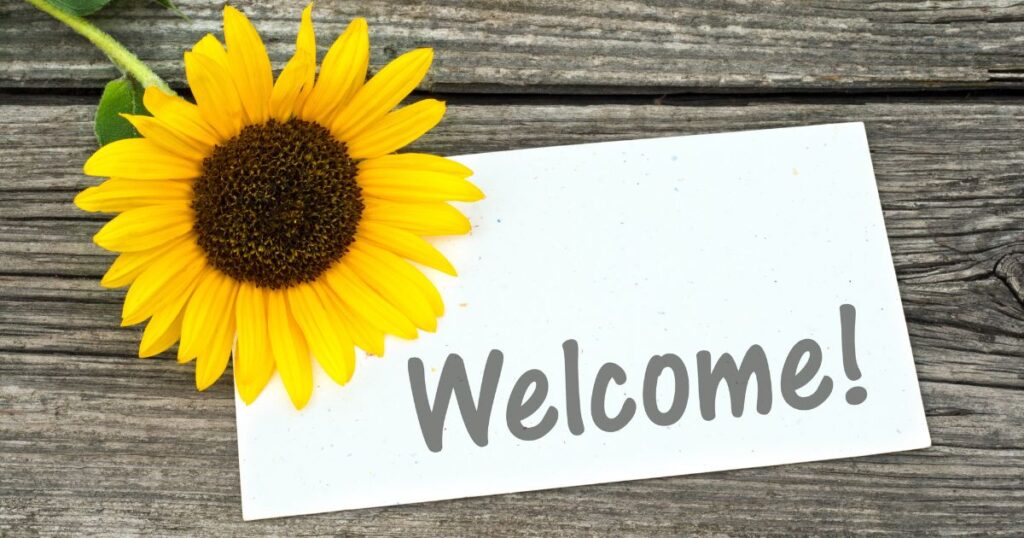 Canadian Visa Proffesionals - welcome immigration